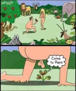 Stupid Bar Memes 57b9a6b76d1e56ca