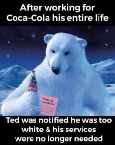 Stupid Bar Memes 59474074aeb00b91