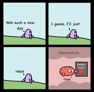 Stupid Bar Memes 6452f6258d88e