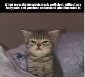 Stupid Bar Memes 645311d3ca08b
