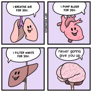 Stupid Bar Memes 64539322d739a