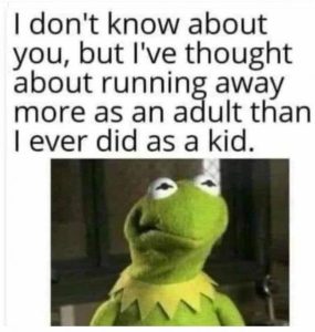 Stupid Bar Memes 65f8b5648c8806fe