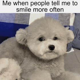 Stupid Bar Memes 663c69ba3d22fb75