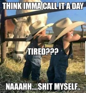 Stupid Bar Memes 6766428ea75e87d7