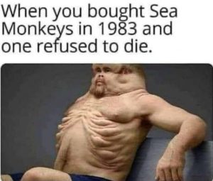 Stupid Bar Memes 682c70b401853cb9