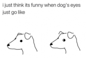 Stupid Bar Memes 684f496237a18100