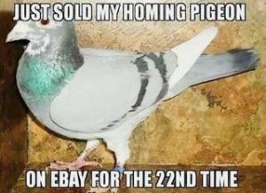 Stupid Bar Memes 6d0a6dfbc02c35ac