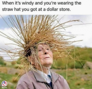 Stupid Bar Memes 6d573939e11fb814
