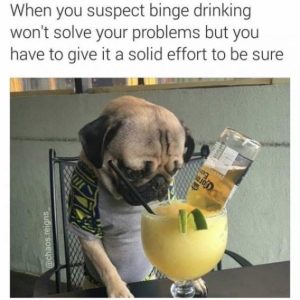Stupid Bar Memes 7054455e634b6379
