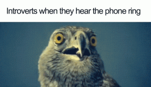Stupid Bar Memes 70c21e728cfaa5d8