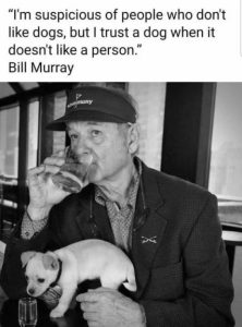 Stupid Bar Memes 70e0ec46384b7c0c