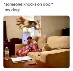 Stupid Bar Memes 73bafdfd3cac985a