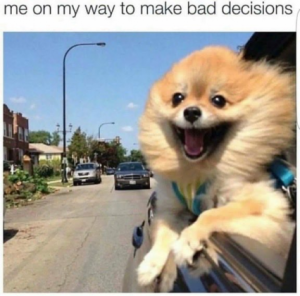 Stupid Bar Memes 766f466a9e319d86