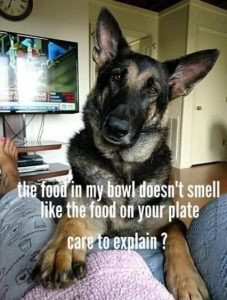Stupid Bar Memes 770444c6840a6b9c