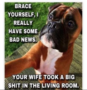 Stupid Bar Memes 7705473db60063e1