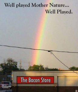 Stupid Bar Memes 7805a6a46de19ed4