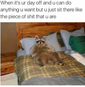 Stupid Bar Memes 7f8cee7b93efe4c8