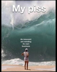 Stupid Bar Memes 81d52b772d92d96e