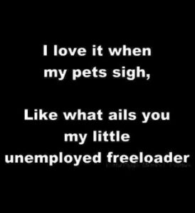 Stupid Bar Memes 8292a3f51abc46cc