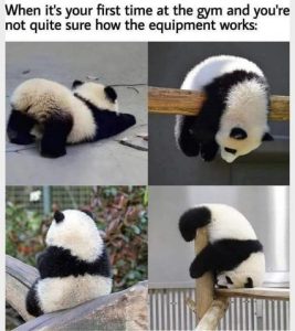Stupid Bar Memes 882165272384c4b8