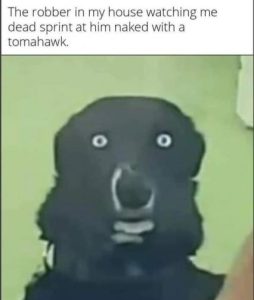 Stupid Bar Memes 8900b9424ef7d028