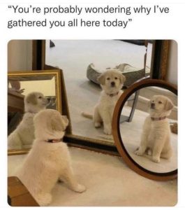 Stupid Bar Memes 8a61775aa23ab9bc