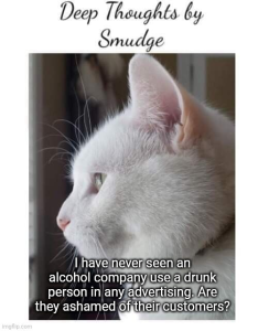 Stupid Bar Memes 8b3d95178dca2d6c