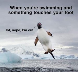 Stupid Bar Memes 8dc8aabf0897299c4740a841f0892f5a