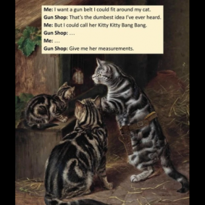 Stupid Bar Memes 8ed31657345e318f