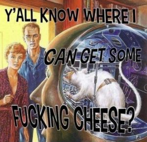 Stupid Bar Memes 919f25f1316cbb12