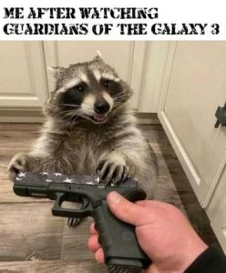 Stupid Bar Memes 93623d1dd44329a9