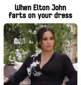 Stupid Bar Memes 94896016e1b9b0c5