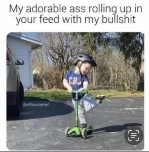 Stupid Bar Memes 995c6102791ae84f
