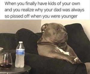Stupid Bar Memes 99be492d1c48cbea