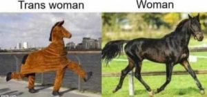 Stupid Bar Memes 9a780751ddd43fa2