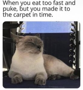 Stupid Bar Memes 9bcd23d472f35f4e