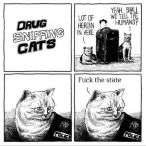 Stupid Bar Memes 9d3aa9c2d4b9068d