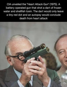 Stupid Bar Memes 9de74a7f364c2877