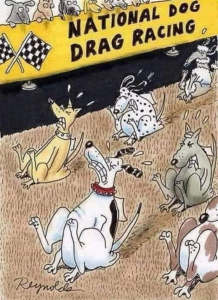 Stupid Bar Memes 9fd4a07115922a2c