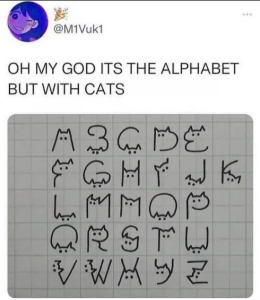Stupid Bar Memes ARJHQaW