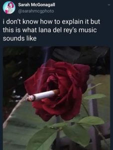 Stupid Bar Memes TdFp2DY
