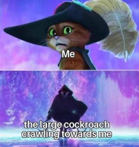 Stupid Bar Memes WMAs05s07s23s1s12