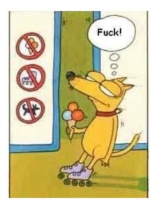Stupid Bar Memes a2cd12e62401d4bf