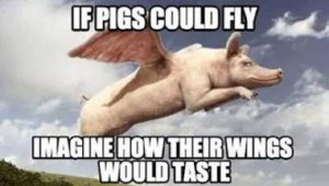 Stupid Bar Memes a3daf58ad010a449