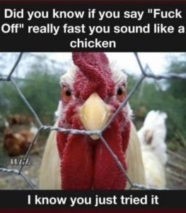 Stupid Bar Memes a5ecfeddaad95771