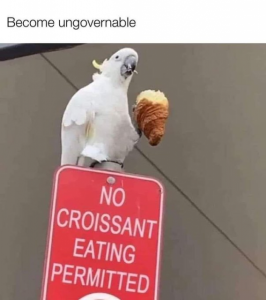 Stupid Bar Memes a694907aed5ef973