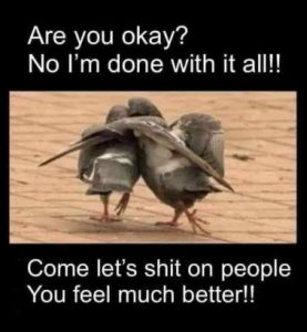Stupid Bar Memes a788909d3813ee83
