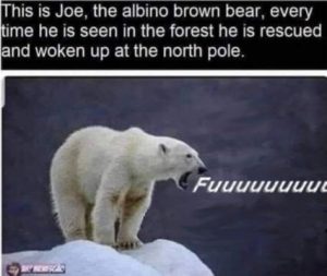 Stupid Bar Memes a946b85d401f3979