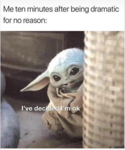 Stupid Bar Memes abf56eb6a89a197f