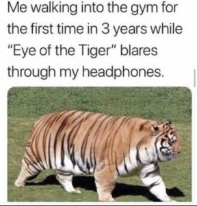 Stupid Bar Memes ac76a5553f40702d